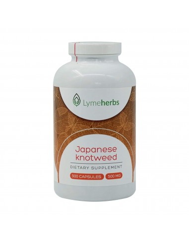 Japansk Knotweed Standardisert til 10% Resveratrol, 500 mg, 500 kapsler